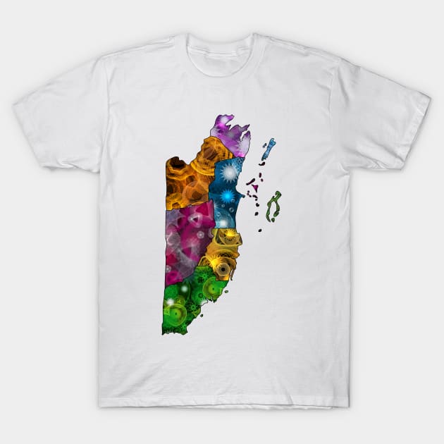 Spirograph Patterned Belize Districts Map T-Shirt by RachelEDesigns